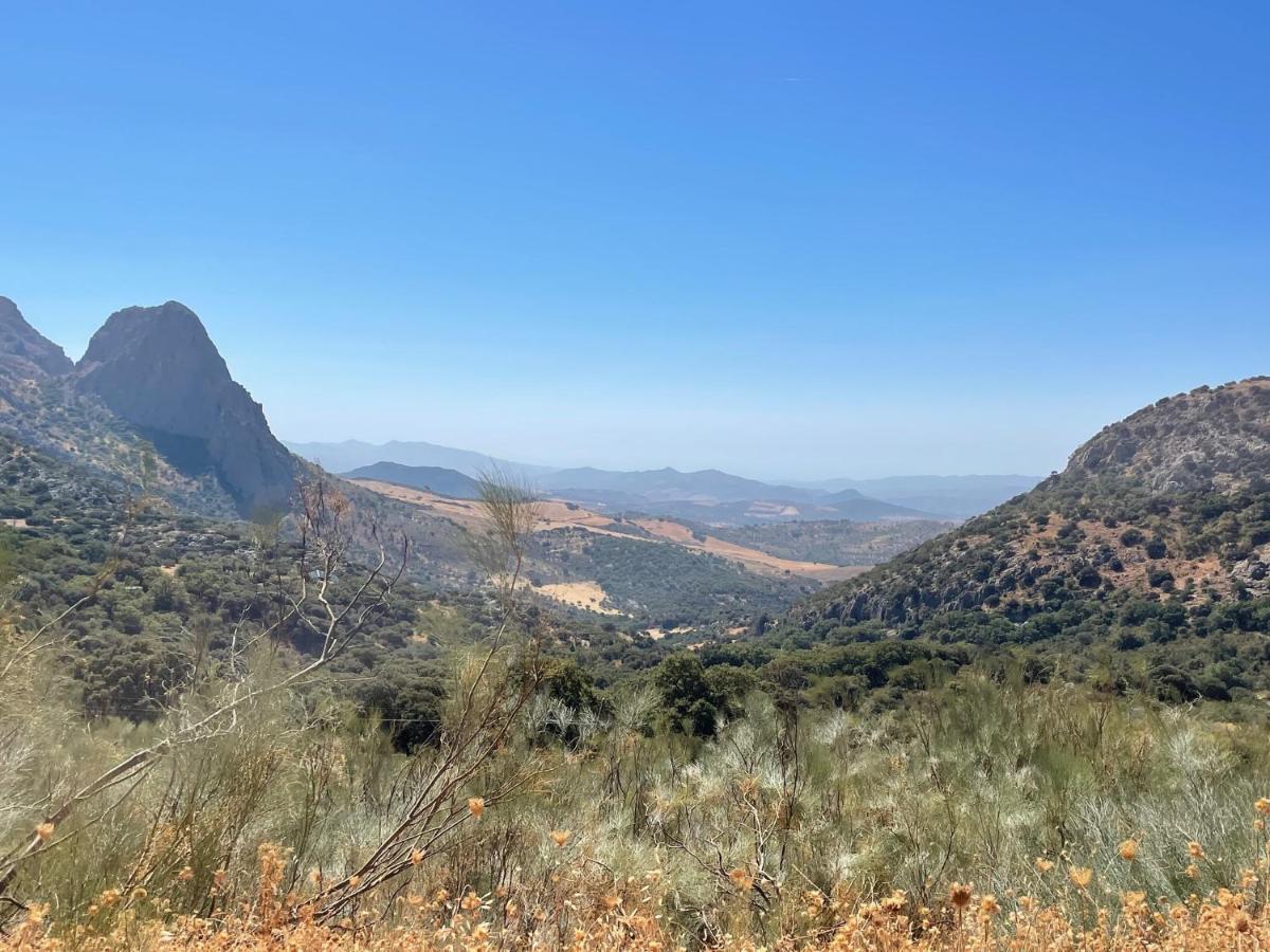 Cortijo Rancho Verde Colmenar Exterior photo
