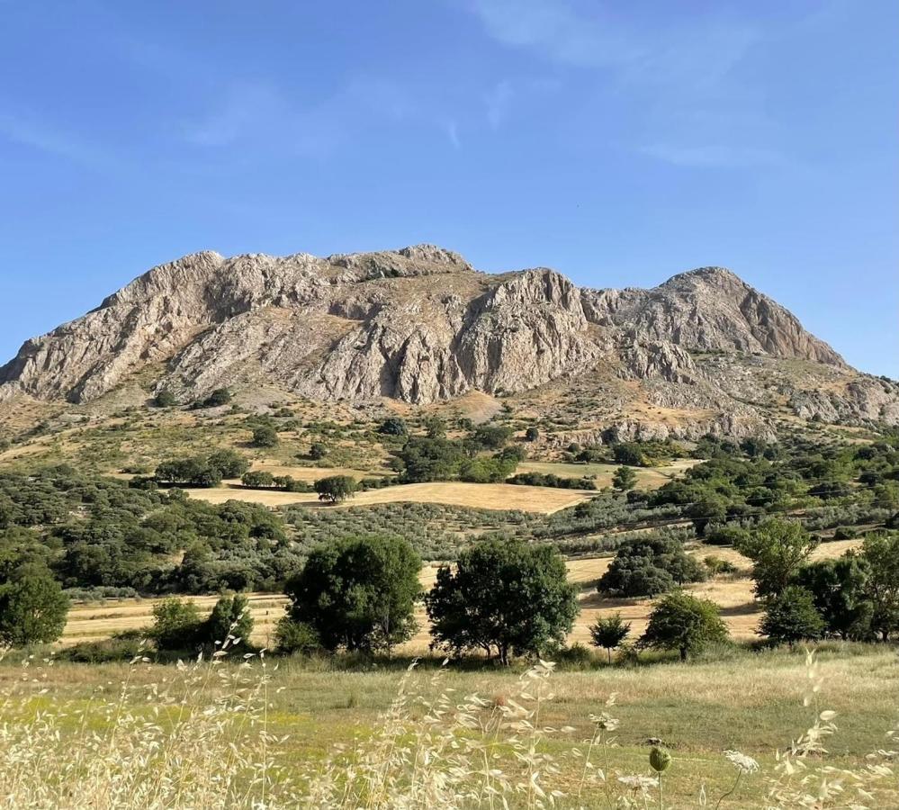Cortijo Rancho Verde Colmenar Exterior photo