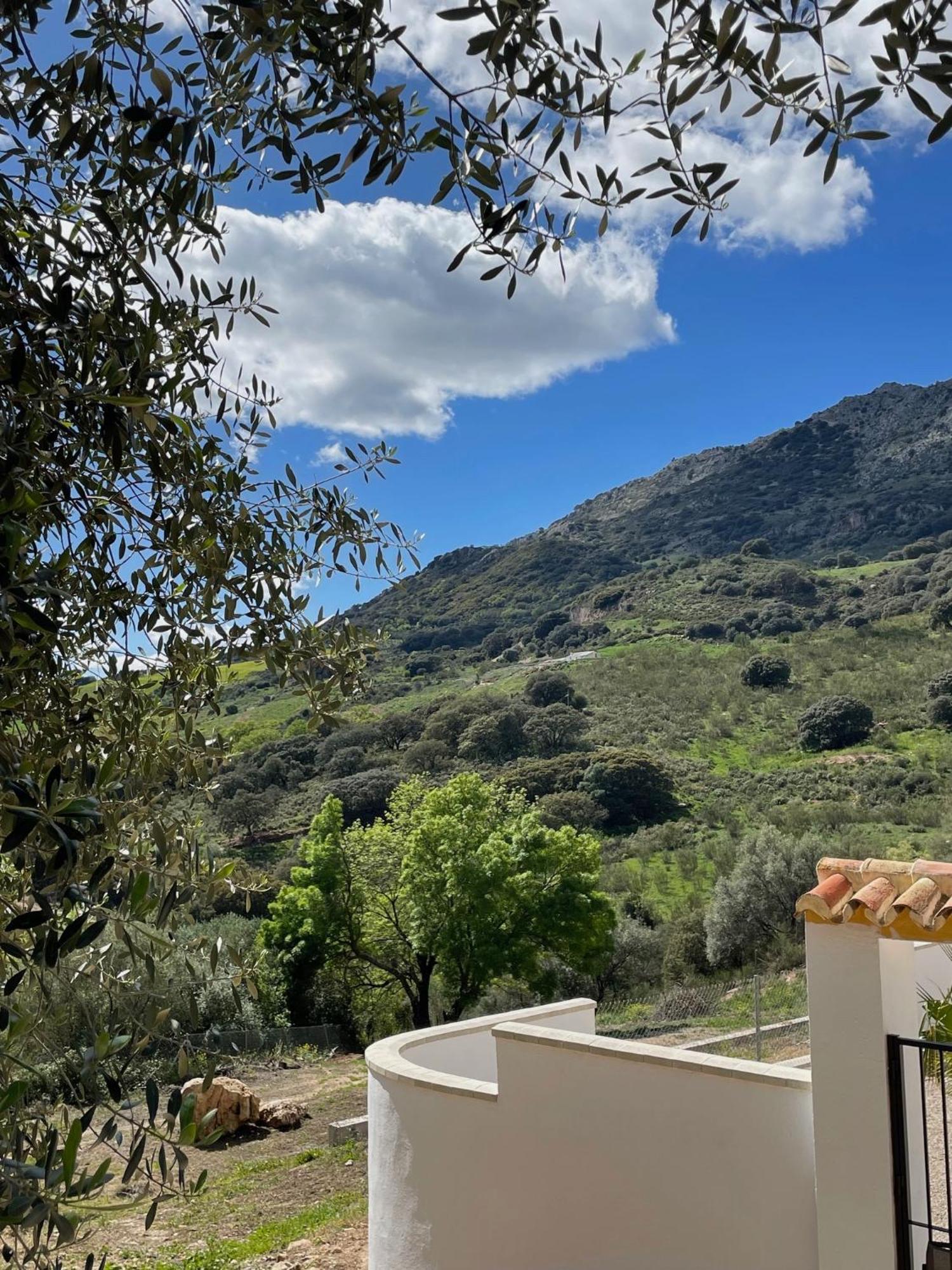 Cortijo Rancho Verde Colmenar Exterior photo