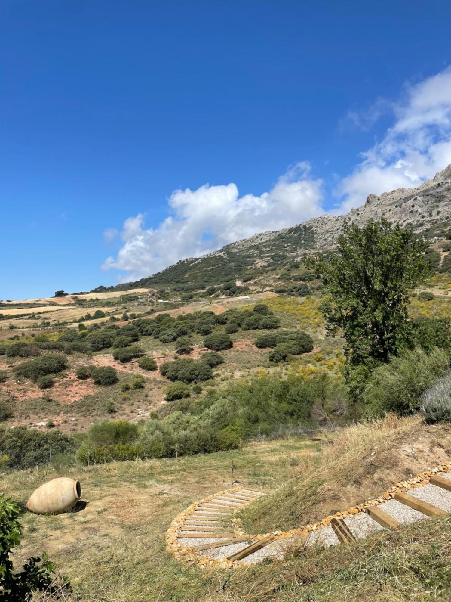 Cortijo Rancho Verde Colmenar Exterior photo