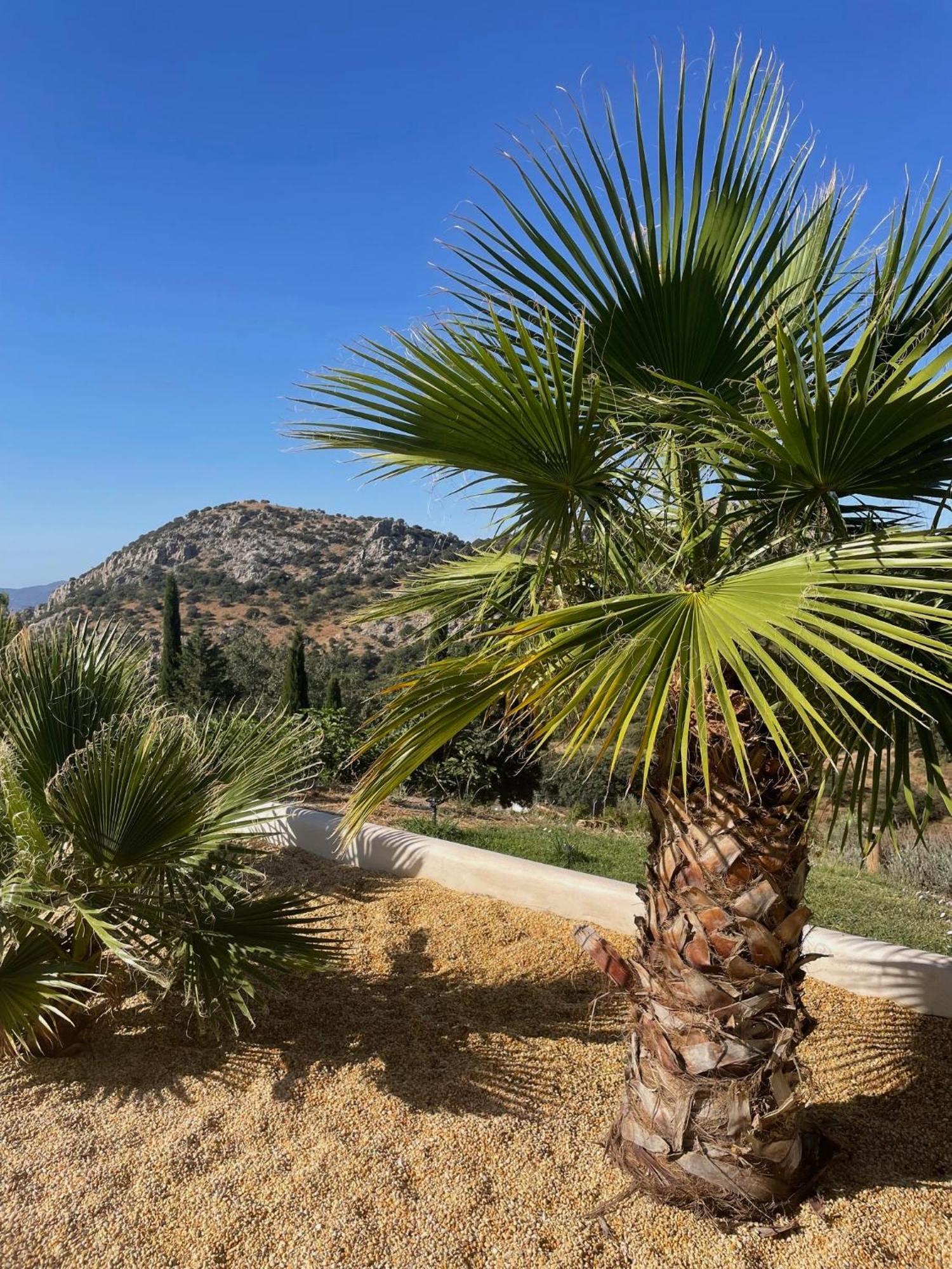 Cortijo Rancho Verde Colmenar Exterior photo